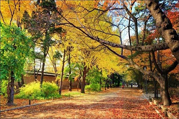 덕수궁 대한문~중화문 전경