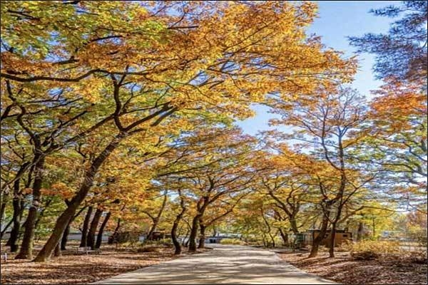 태릉 산책로 전경