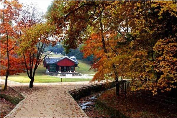 파주 삼릉 영릉 산책로 전경