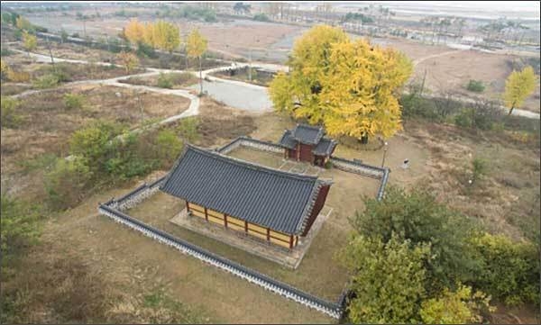 숭모각과 세종 임난수 은행나무