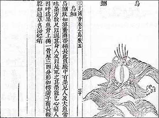 《소문사설(謏聞事說)》의 ‘‘오징어묵계’ 부분