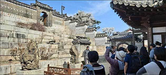 봄을 품은 낙선재 관람_낙선재 화계(2023.