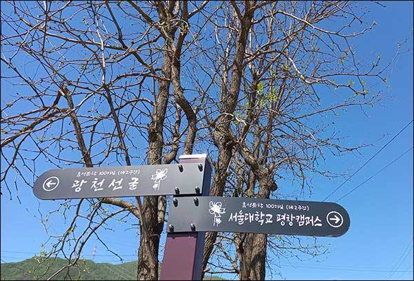 광천선굴을 가리키는 표지판