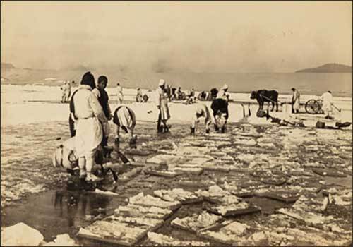 한강의 얼음을 채취하고 있는 모습을 찍은 1910~1920년대 사진