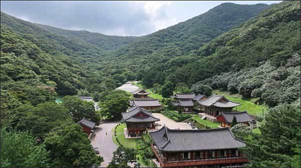 나주 불회사와 절 경관림 전경