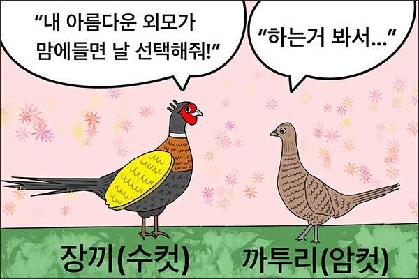 동물은 수컷이 아름답다 (그림: 이승헌 작가)
