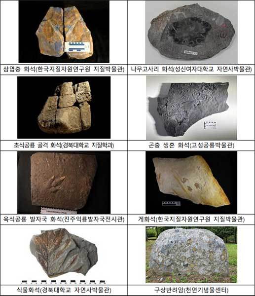 국가귀속된 지질유산