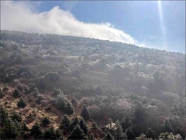 지리산국립공원 능선(세석 일원)에 핀 첫 올해 상고대(2024. 11. 21. 찍음)