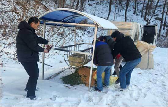 민통선 내 산양 먹이급이대 설치 및 먹이공급
