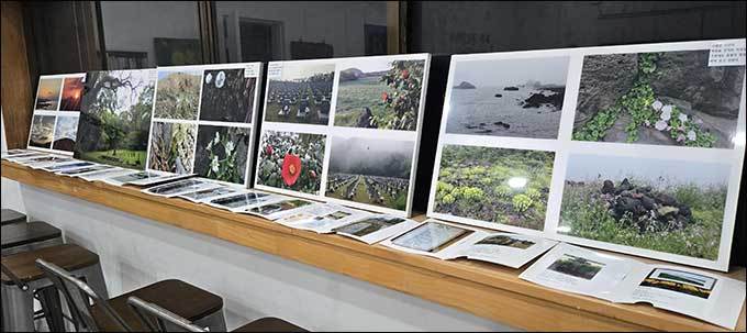 행사장에 전시된 제주의 풍경과, 들꽃 역사를 기록한 시와 디카시. 순국선열 유적지 기행사진들