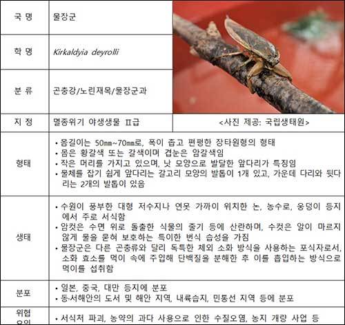 물장군 생태정보
