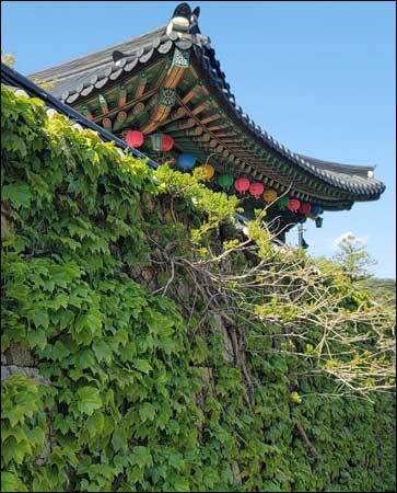 강릉 보현사 