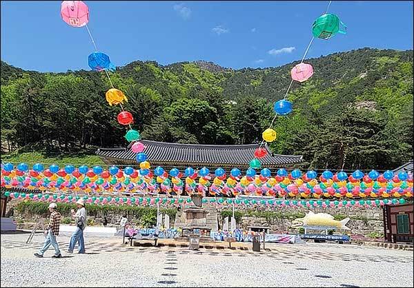 동해 삼화사 대웅전 앞 (부처님 오신날 하루 전)