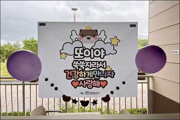 순산 응원 메시지(임신부 가족 방꾸미기)