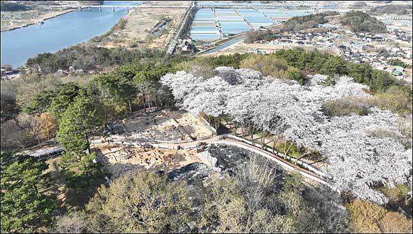 <부여 부소산성 17차 발굴조사 현장 전경