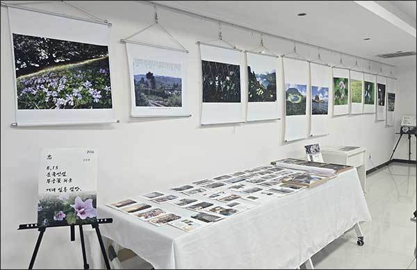 행사장에 전시된 들꽃과 임시정부 이동길 역사사진, 순국선열 추모시 및 디카시. 순국선열 유적지 기행사진들
