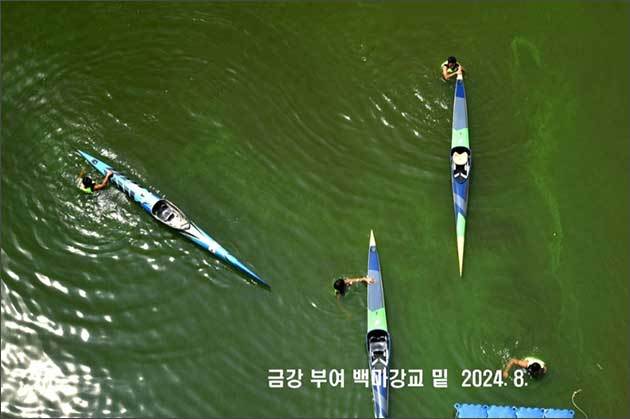 녹조 강에서 카누 연습 중인 학생들 (출처: 박용훈)