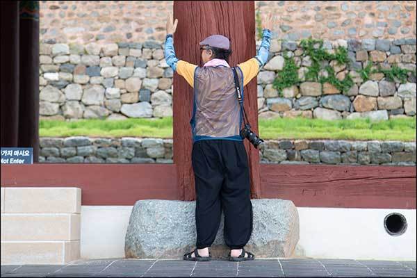 진남관의 규모를 짐작할 수 있는 기둥의 굵기: 지름이: 75cm 이상으로 추정