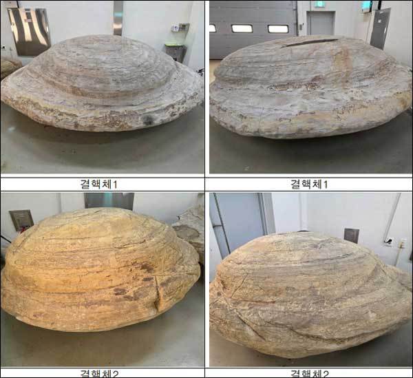 포항 신생대 두호층 결핵체