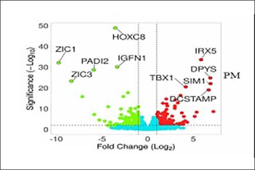 초록색(등심 발현 증가 유전자), 붉은색(안심 발현 증가 유전자)
