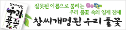 배너