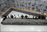 우리나라 가장큰 「포항금광리 신생대 나무화석」공개
