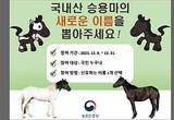 ‘국내산 승용마’ 새로운 이름 지어 주세요