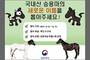 ‘국내산 승용마’ 새로운 이름 지어 주세요