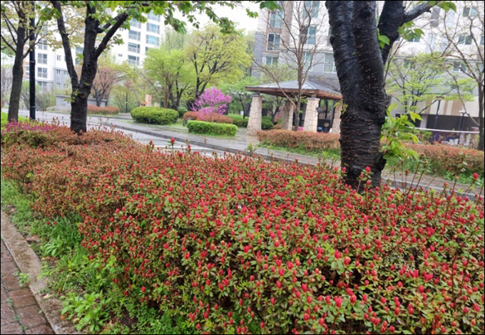 아름다운 봄을 바랄 뿐