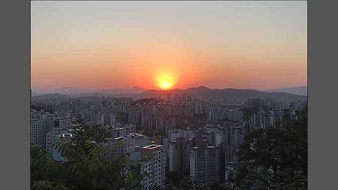 로키 산맥의 자작나무와 한국의 새 대통령