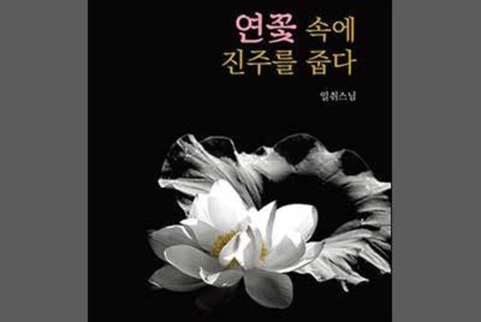법구경과 스님 그리고 연꽃이 어우러진 책