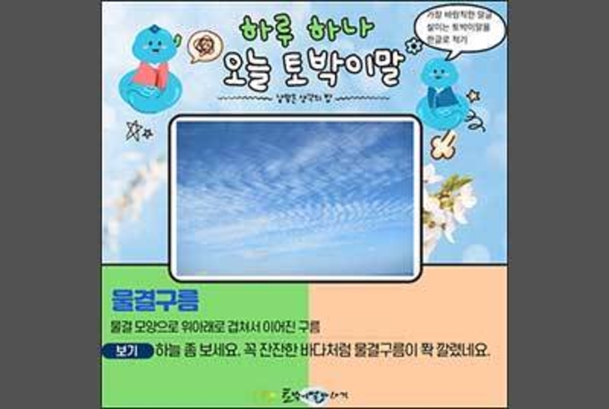 [하루 하나 오늘 토박이말]물결구름