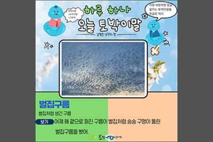 [하루 하나 오늘 토박이말]벌집구름