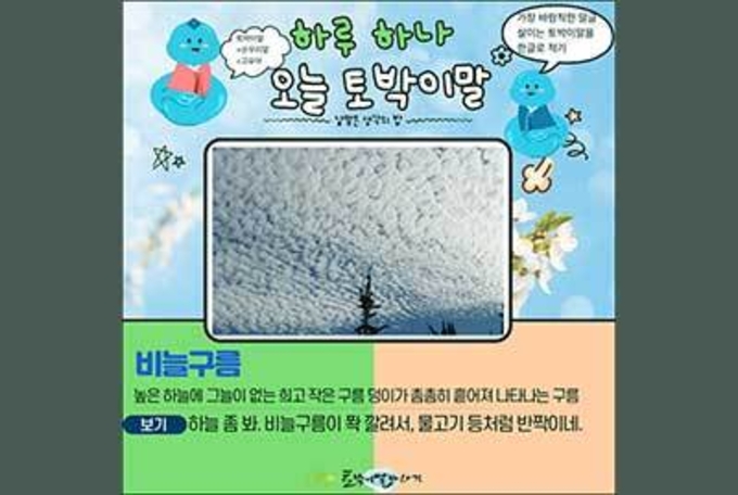 [하루 하나 오늘 토박이말]비늘구름