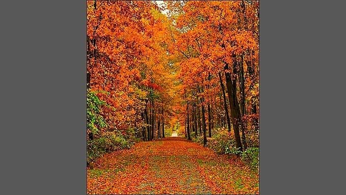 그래도 등불을 켜고