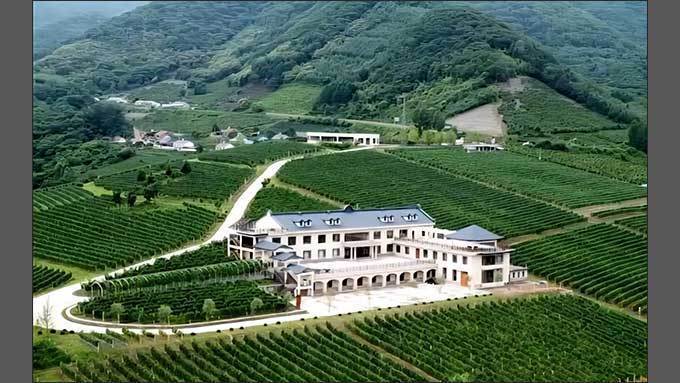 불한시사 합작시 49. 압록강 포도주농장