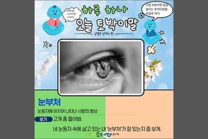 [하루 하나 오늘 토박이말]눈부처