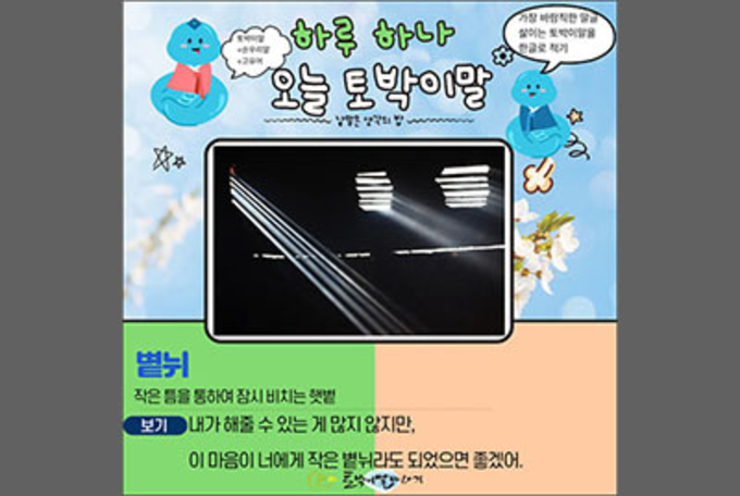 짙은 어둠 속 우리에게 닿은 한 줌 햇볕