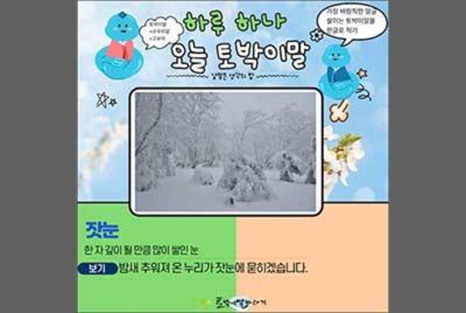 온 누리를 덮은 포근한 눈