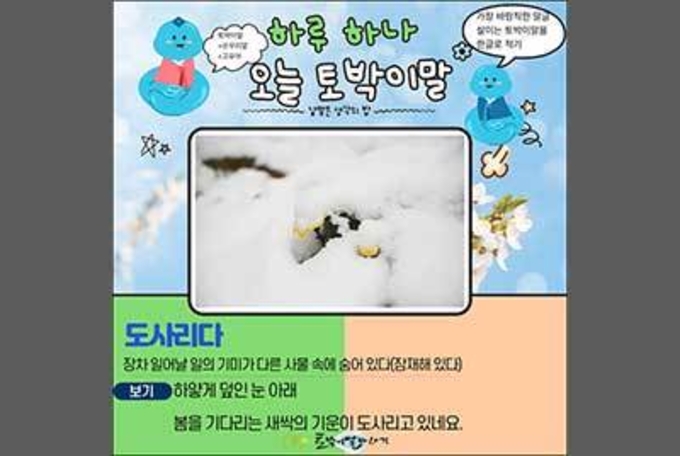 일어날 일의 낌새를 품은 말 '도사리다'