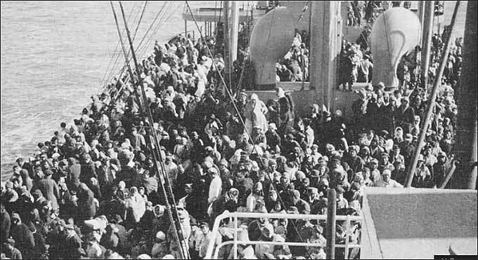 가장 큰 크리스마스 선물