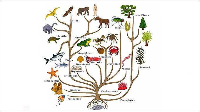 사람이 온갖 동식물들과 함께 살자는 동학사상