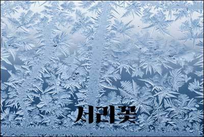 추운 겨울날, 유리창에 핀 꽃을 본 적 있으시죠?