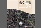 송이에 대한 궁금증, 《송이문답》이 답하다