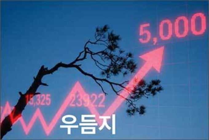 5,000포인트라는 '정상(頂上)'보다 '우듬지'