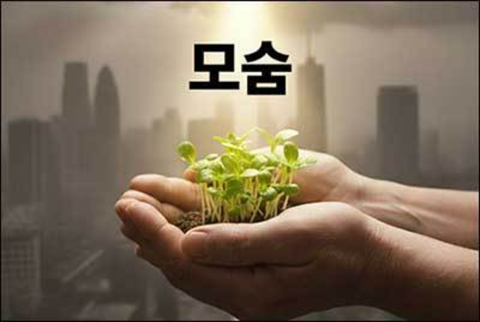 미세먼지 가득한 날, 당신에게 '한 모숨'의 숨결을