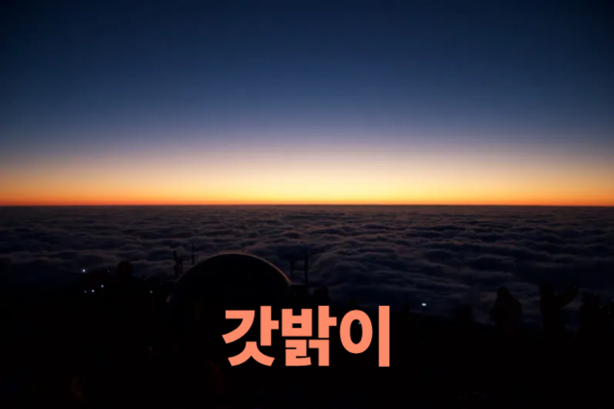 어둠이 물러난 자리에 가장 먼저 닿는 손길