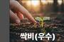 '우수' 곁에 나란히 두고 싶은 이름, '싹비'