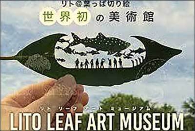 나뭇잎 조각으로 인생 역전, 일본 작가 '리토' 씨