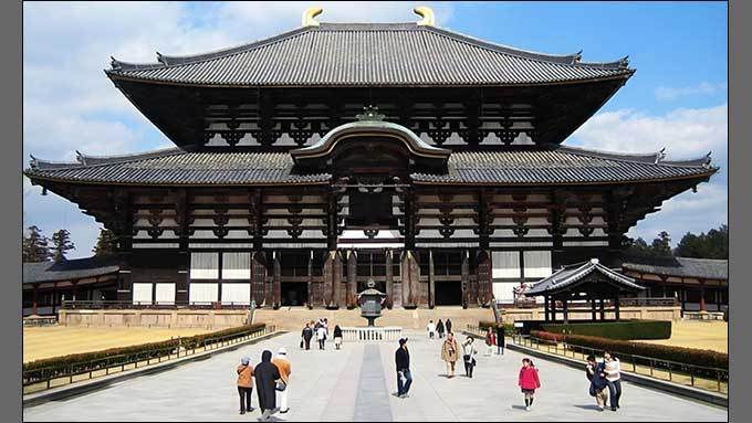 바다를 건너 뿌리내린 백제의 차, 일본서 피어나